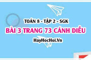 Bài 3 trang 73 Toán 8 Tập 2 Cánh Diều